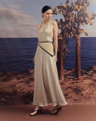 NACAR DRESS